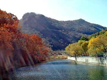 中药材天地网白芨价格，你知道吗？