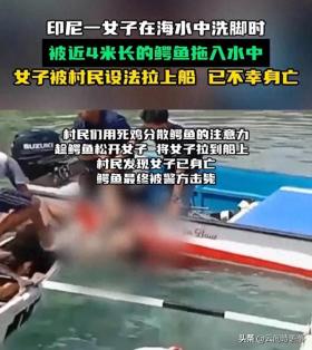 印尼女子海边洗脚遭鳄鱼突袭身亡