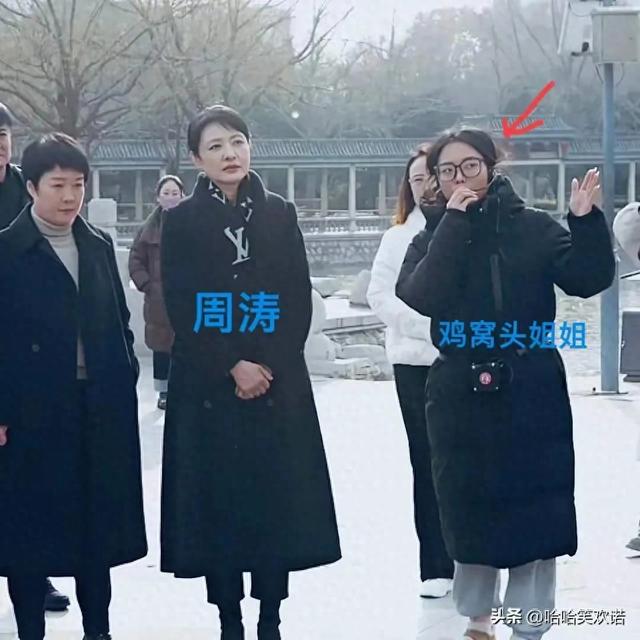 ‘鸡窝头’女生走红网络，给周涛讲解身份曝光，背景果然不凡！